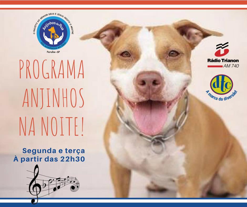 Projeto Anjinhos da Rua faz sucesso na Trianon