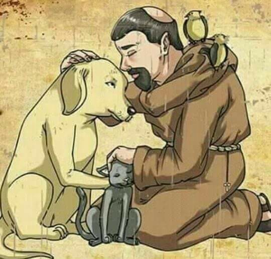 Programação especial neste dia 4 dia de S.Francisco e dia dos Animais