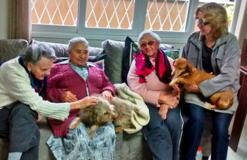 Asilo adota cães velhinhos para fazer companhia aos idosos
