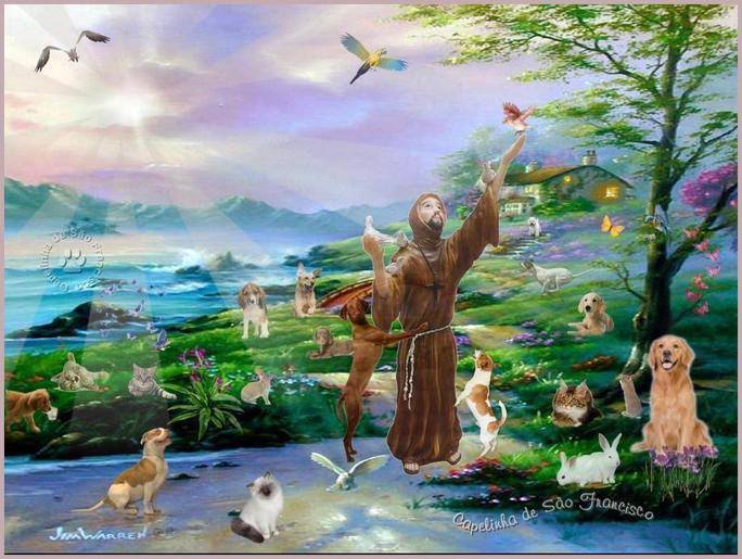 Tratadores de animais abandonados merecem respeito em São Paulo