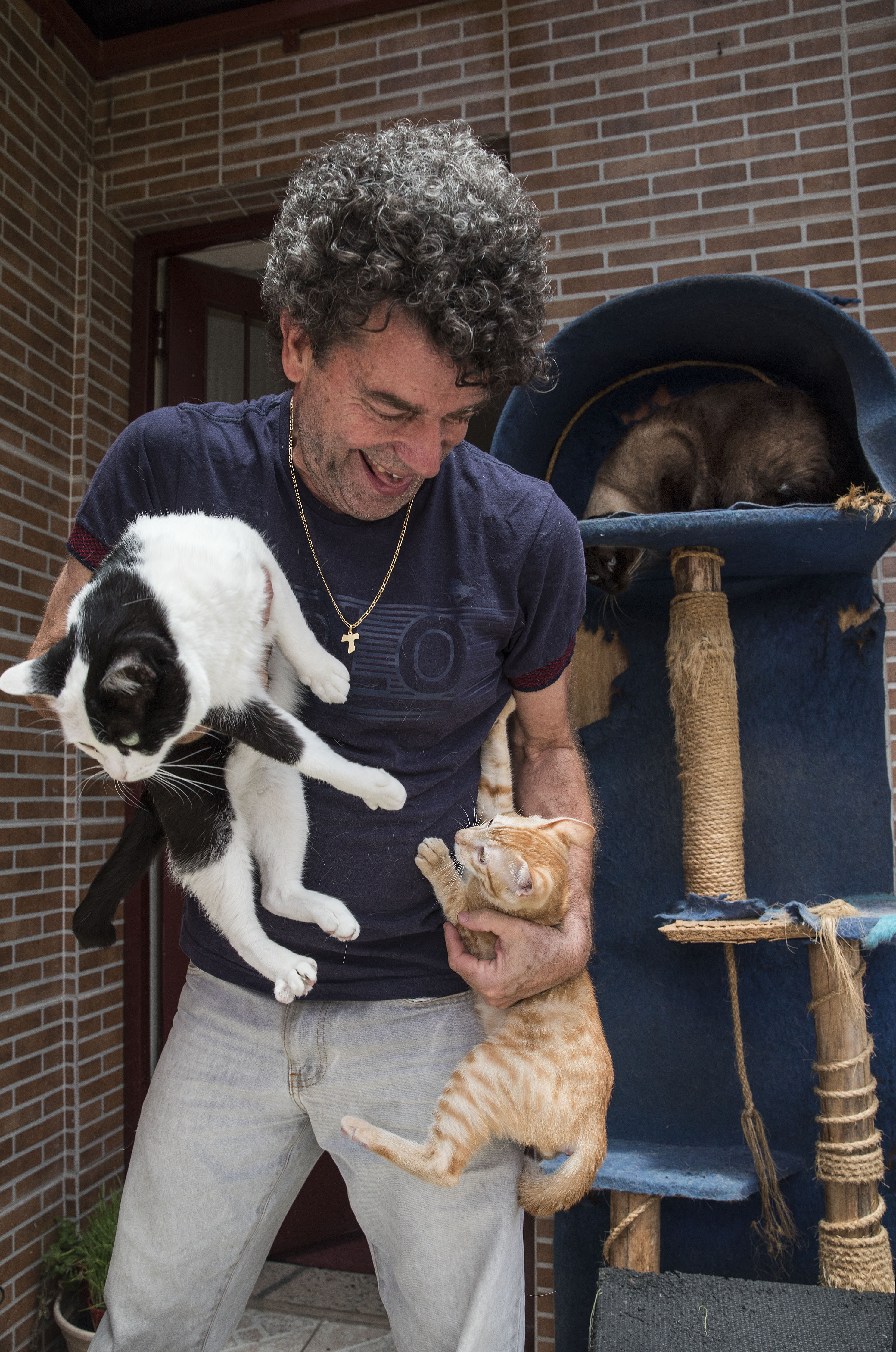 Quem tem bicho vive mais feliz