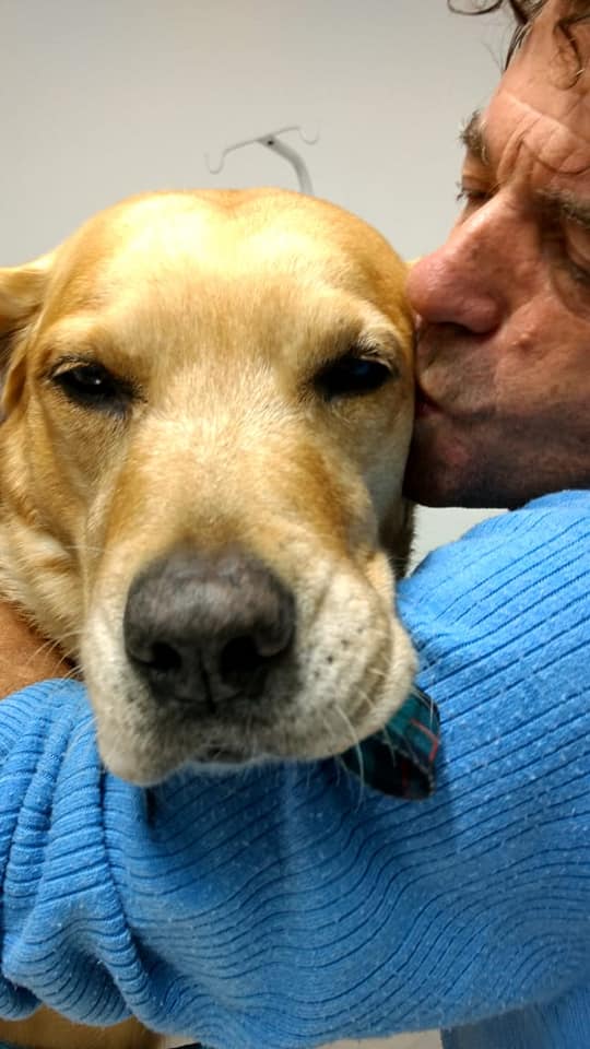 Tommy apenas um requiem do amor celestial