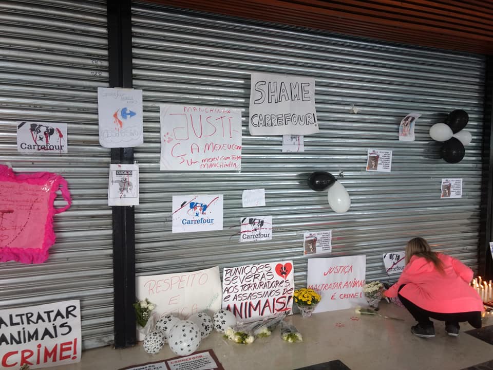Parabéns manifestantes da causa animal, a luta continua!!!!