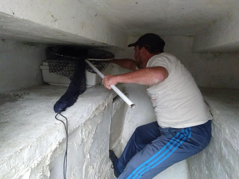 Vigília pacífica em favor dos bichos na Quarta Parada