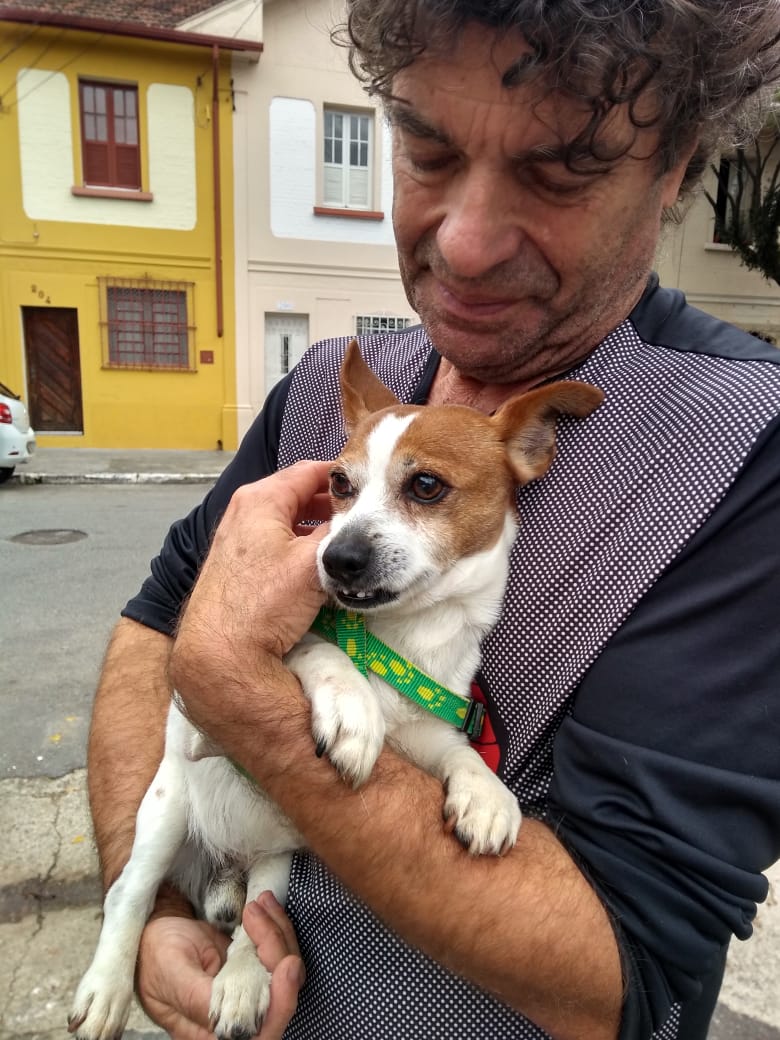 JORNALISTA CRIA SITE DE BICHOS