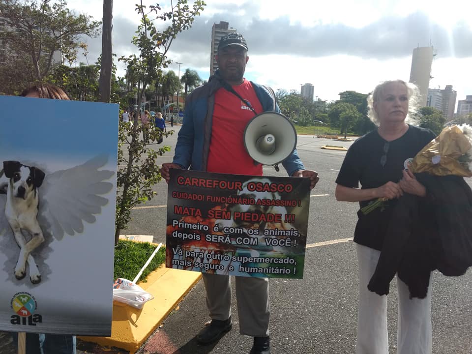 ​Construtores da Nova Arca de Noé