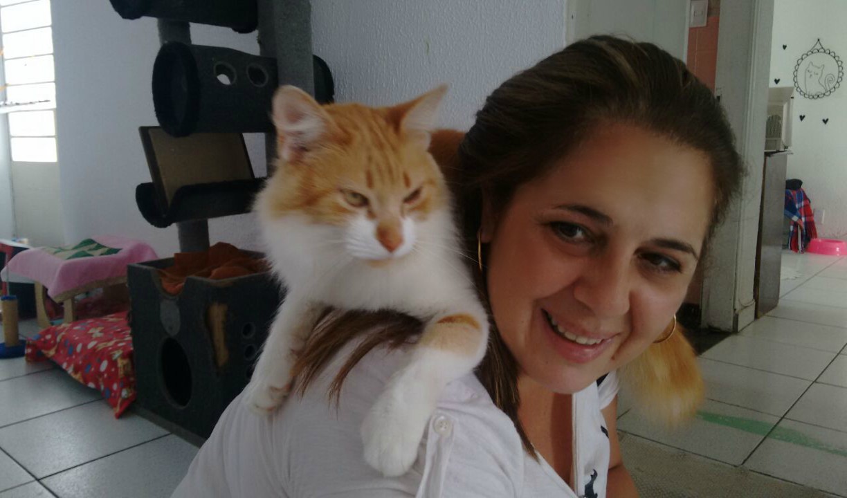 Coronavírus não é transmitido por cachorros e gatos