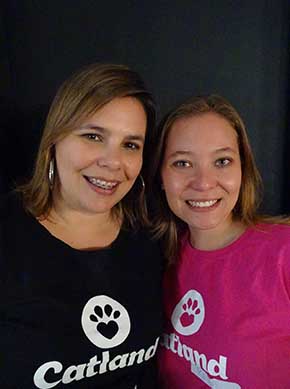Catland cria página para facilitar adoção de animais