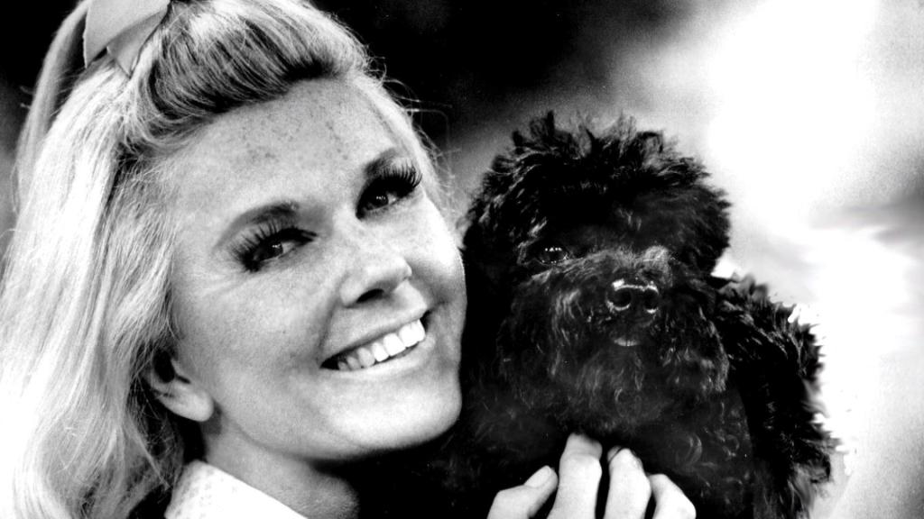 Morre aos 97 anos a estrela do cinema e ativista Doris Day