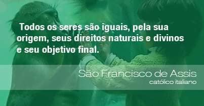 Dia do Irmão Sol e dos Animais