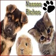 Podcast da Rádio Nossos Bichos